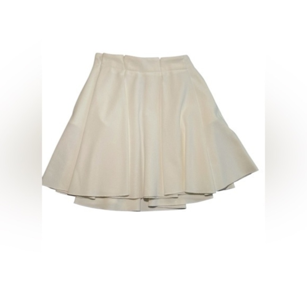 Torn by Ronny Kobo Miniskirt